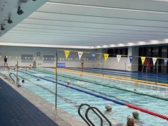 -奥体中心游泳馆