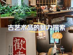 -邈墨茶馆(大兜路1号店)