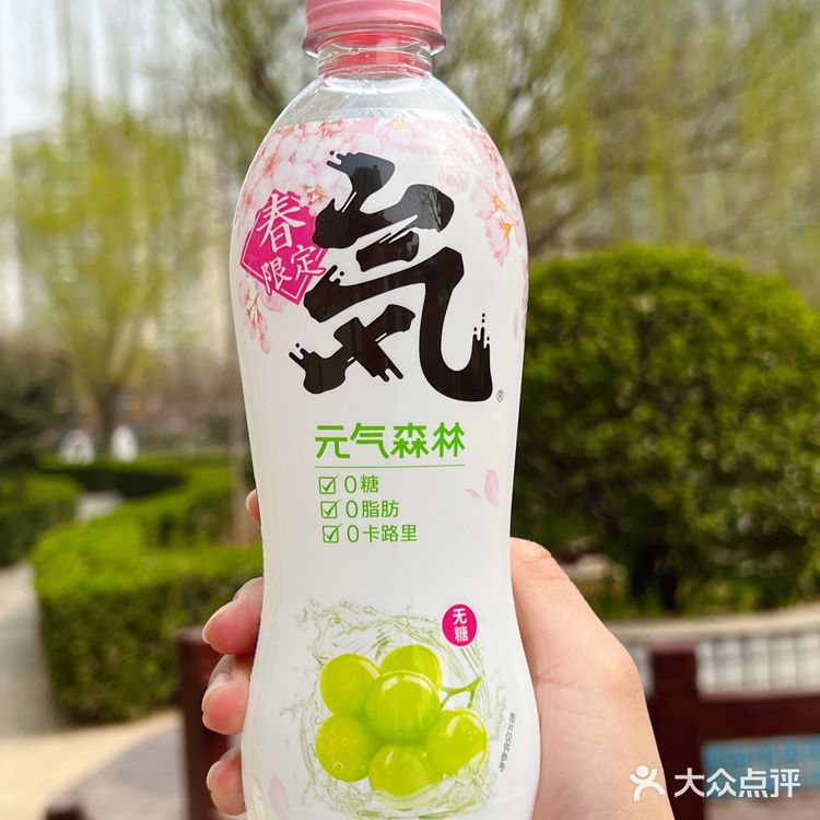 🌸🍃🌸 元气森林，让春日少女心爆棚 🌸🍃🌸