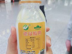 -德禄酸奶(莫家街店)