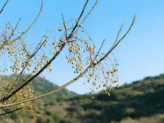 -白马涧龙池景区
