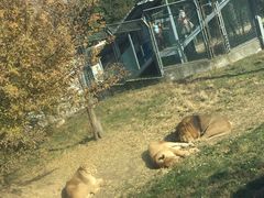 -西安秦岭野生动物园