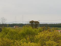 -上海崇明金茂凯悦酒店