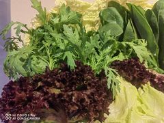 -蝎王府羊蝎子(天通苑店)