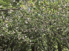 -白塘生态植物园