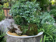 -成都杜甫草堂博物馆