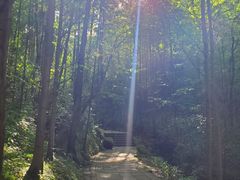 -凤栖山