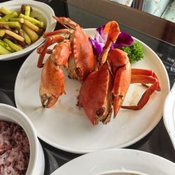 -臻康乃馨月子中心(凯宾斯基店)