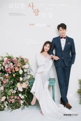 现代简约-巴黎婚纱摄影工作室