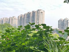-舒羽咖啡(运河店)