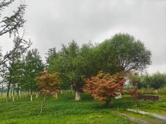 -汉长安城未央宫国家考古遗址公园