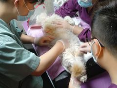 -宠爱国际动物医院·消化内科·心肾内科·ISFM猫友好(望京店)