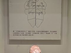 -安阳博物馆