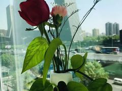 -翡翠江南(国贸商城店)