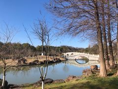 -狼山风景名胜区