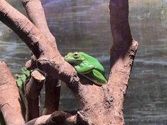 -正佳雨林生态植物园