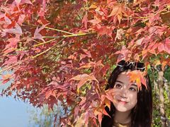 -田野绿世界