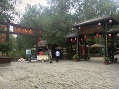 -合肥滨湖国家森林公园