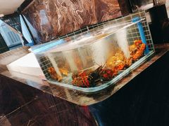 -雍容荟帝王蟹活龙虾展台自助(IFS黑金店)