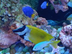 -秦皇岛新澳海底世界