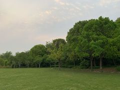 -昆山城市生态森林公园