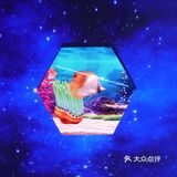 深圳探店｜开启一场浩瀚宇宙的神奇之旅