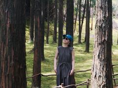 -玉苍山国家森林公园