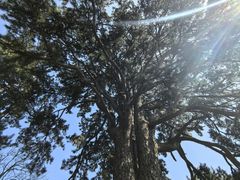 -终南山南五台景区