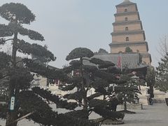 -大慈恩寺(大雁塔)