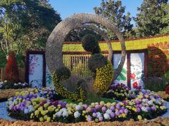 -上海共青森林公园