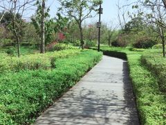 -大屏嶂森林公园