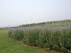 iphone_upload_pic-维纳斯婚纱摄影(淮海中路店)