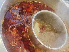 -金鼎雪山牦牛杂火锅(理县总店)