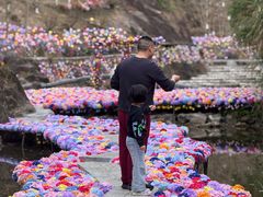 -楠溪江风景名胜区