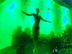 -瑞德姆美人鱼海底演艺主题餐厅(亚龙湾店)