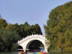 -上海海湾国家森林公园