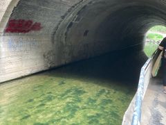 -白水寺森林公园