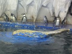 -太平洋海底世界