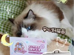 -小伙伴宠物医院·CT·骨科·眼科(高新店)