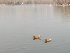 -河北省园博园
