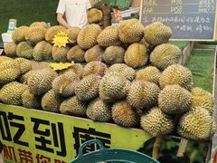 -曼阁市场水果批发市场