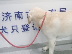 -心仪动物医院·牙专科·肿瘤·心脏科(西客站院)