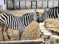 -北京动物园-畅观楼