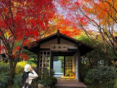 -中国茶叶博物馆(双峰馆区)