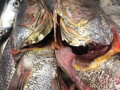 -合家小菜餐馆(新诚花苑店)