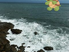 -广东惠东海龟国家级自然保护区