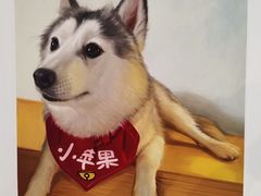 -Husky Go! 哈士奇体验馆·宠物咖啡厅狗咖