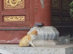 -长春观