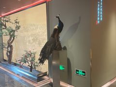 -俏江南天津时尚曲艺主题餐厅(马场道店)