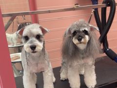 -FAELING PETS美天灵宠物(合生汇店)